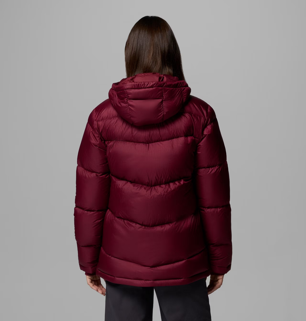 Women's Cloudview  Down Hooded Jacket