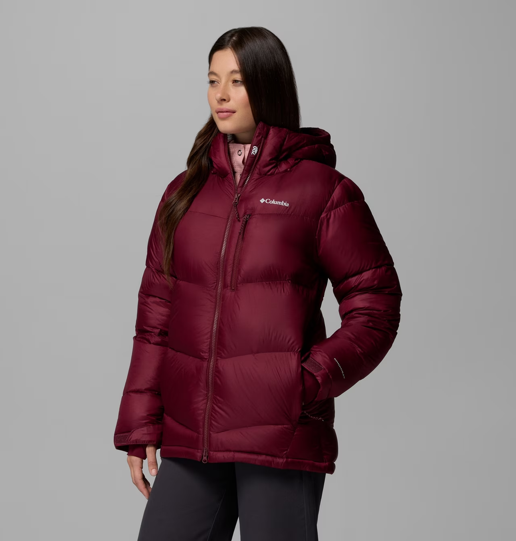 Women's Cloudview  Down Hooded Jacket
