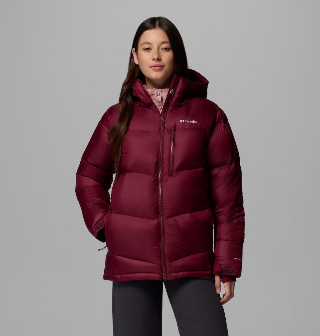 Women's Cloudview  Down Hooded Jacket