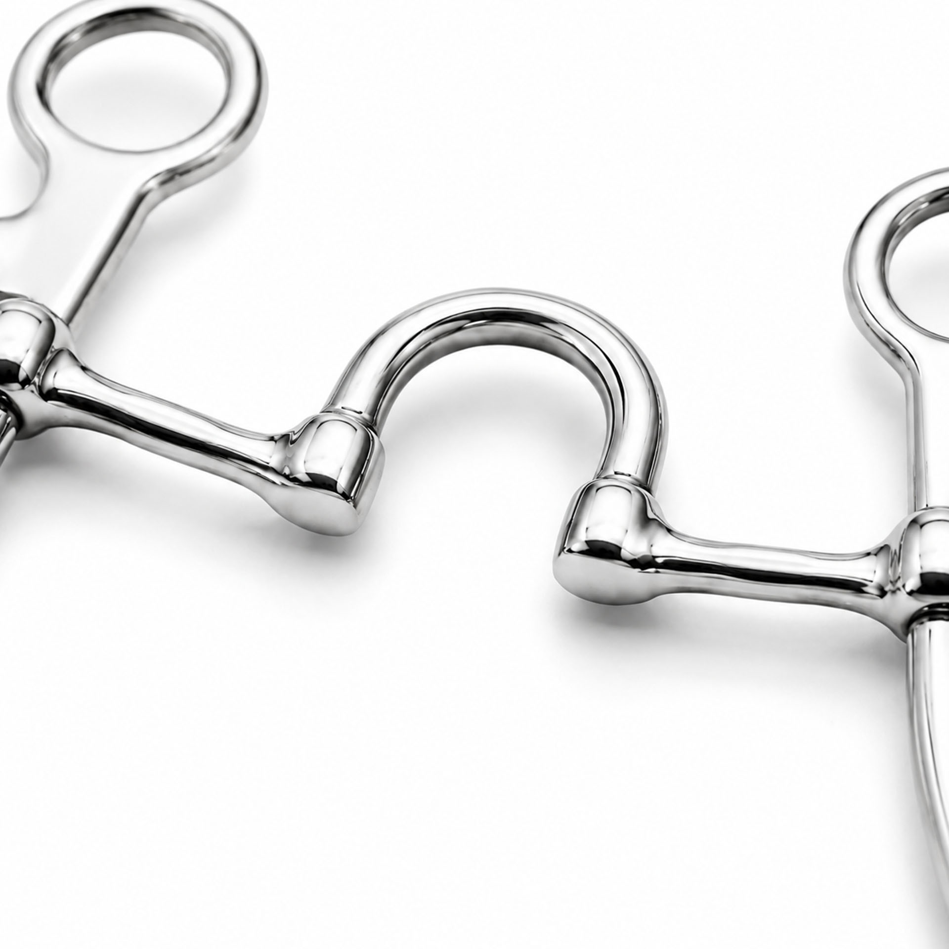 Argentine Capsule Curb Horse Bit